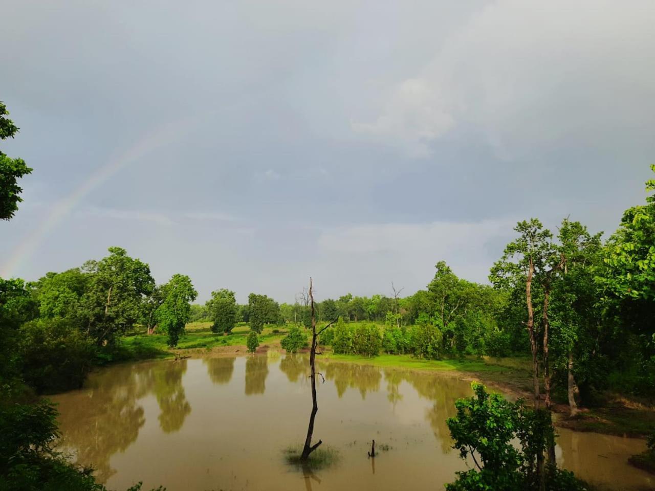 Emerald Tiger Retreat Tala  Ngoại thất bức ảnh